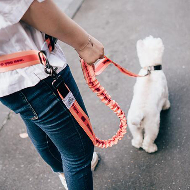 Adjustable Hand Free Dog Leash - Running Zwift recension och pris