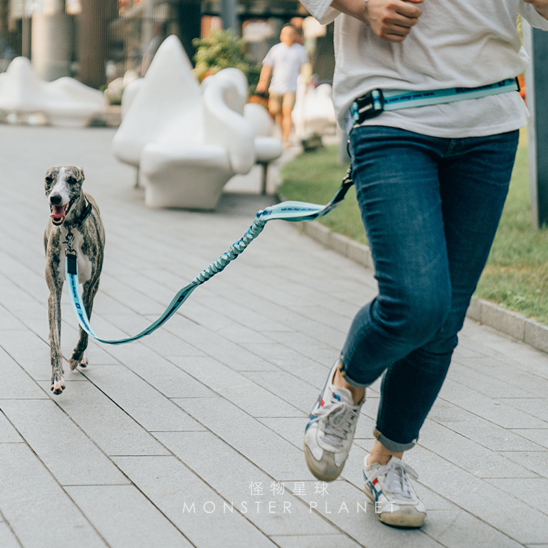 Adjustable Hand Free Dog Leash - Running Zwift recension och pris