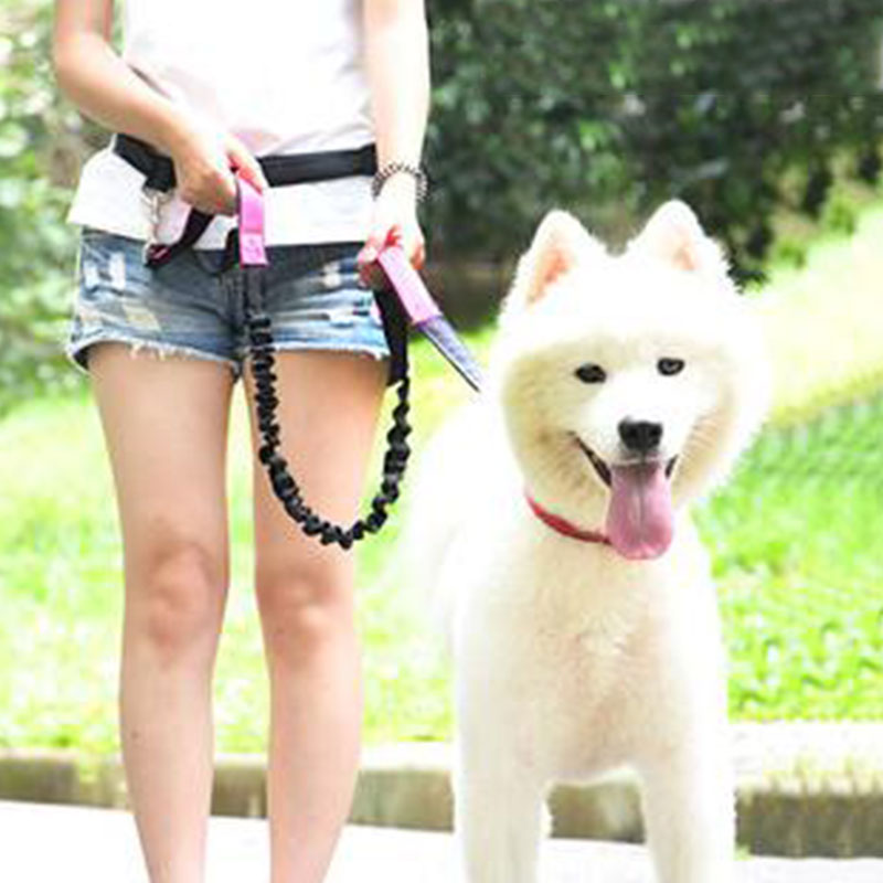 Adjustable Hand Free Dog Leash - Running Zwift recension och pris