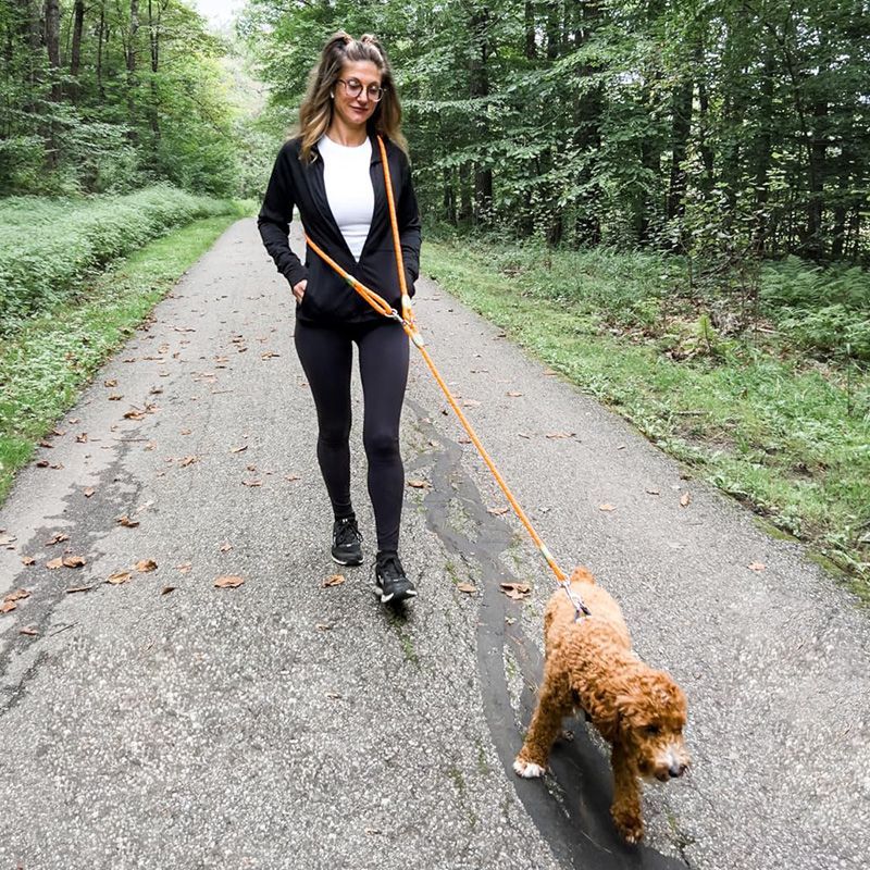 Reflective Hands-Free Dog Leas - Running Zwift recension och pris